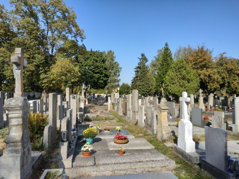Hřbitov_Bolevec - Wikipedie