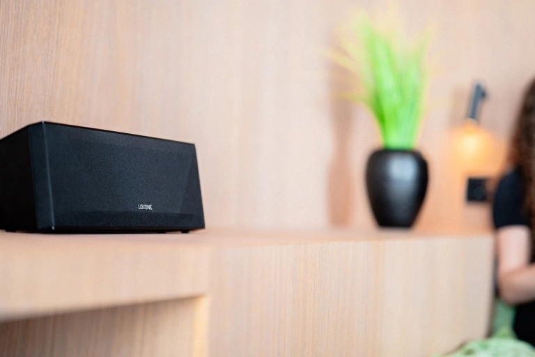 1 Wireless Speaker Loxone
